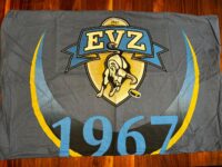 Bettwäsche EVZ, gebraucht